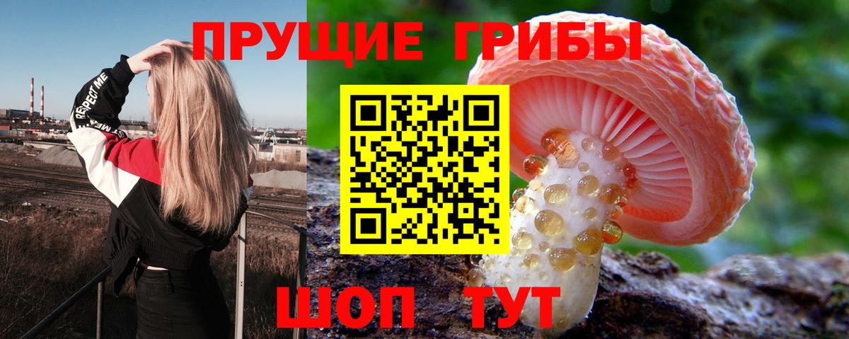 Салават  Галлюциногенные грибы прущие грибы  Псилоцибиновые грибы MAGIC MUSHROOMS  Вход с VPN 