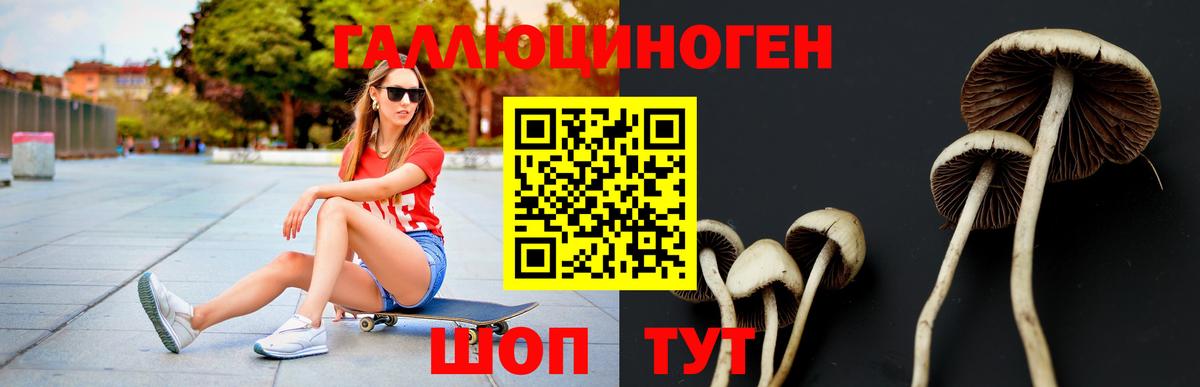 Галлюциногенные грибы мухоморы Салават